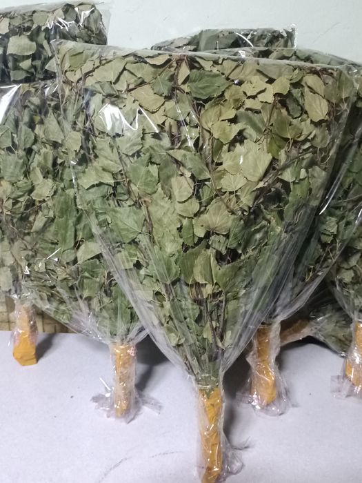 Веники для бани Берёза