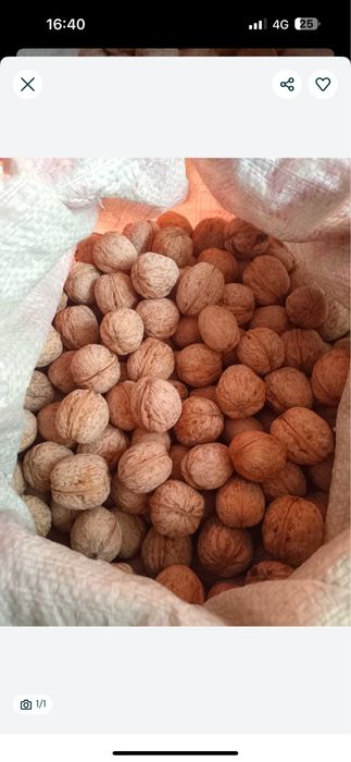 Орехи грецкие вкусные