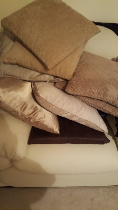 6 cani ceai ,6 perne superbe crem maro