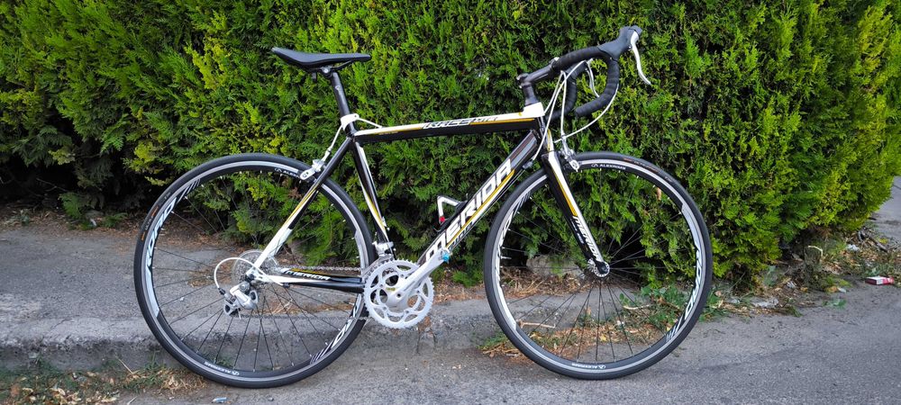 Cursiera Merida Race Lite