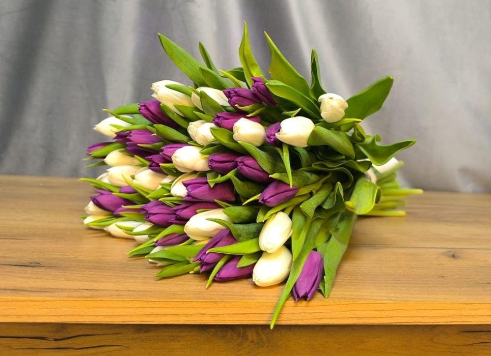 Тюльпаны ОПТОМ Костанай