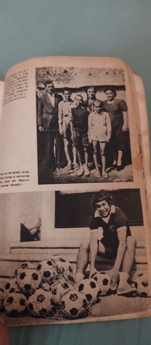 Carte, Mirajul gazonului, Mircea Lucescu