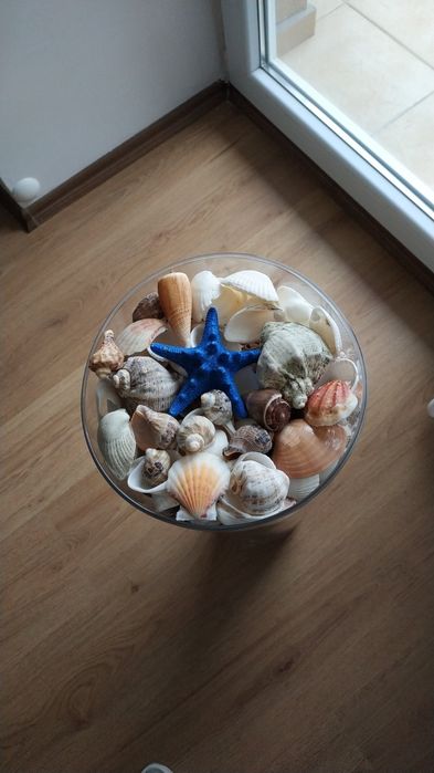 Ваза с миди и рапани **Намалена цена**