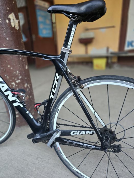 Cursiera Giant Carbon