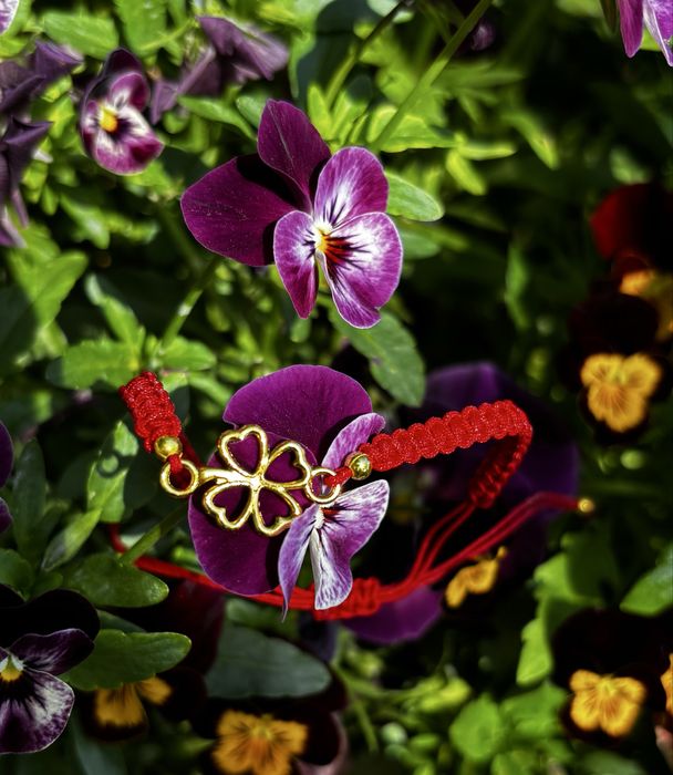 Червен Конец гривна различни елементи