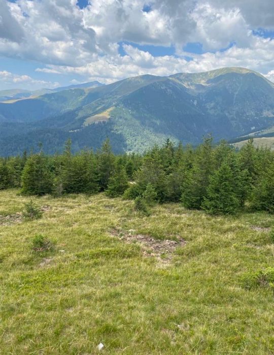 Vand teren ranca
