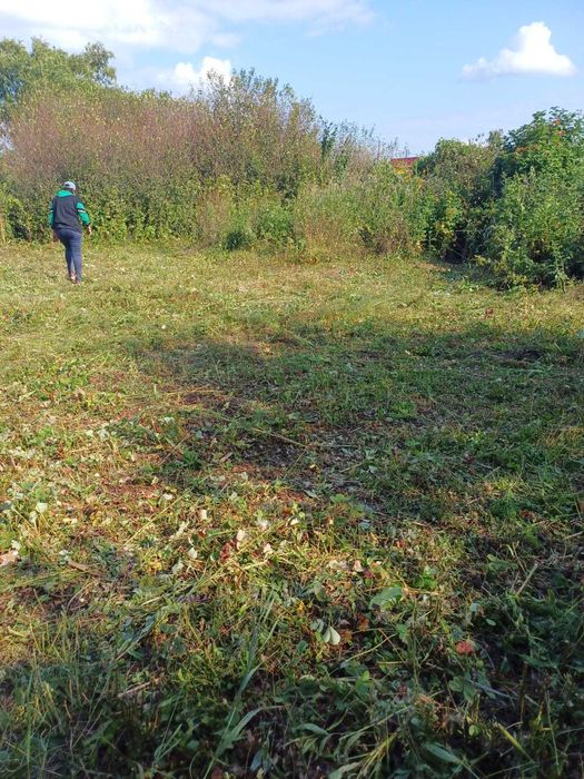 Продается дача. Общество "Ромашка"