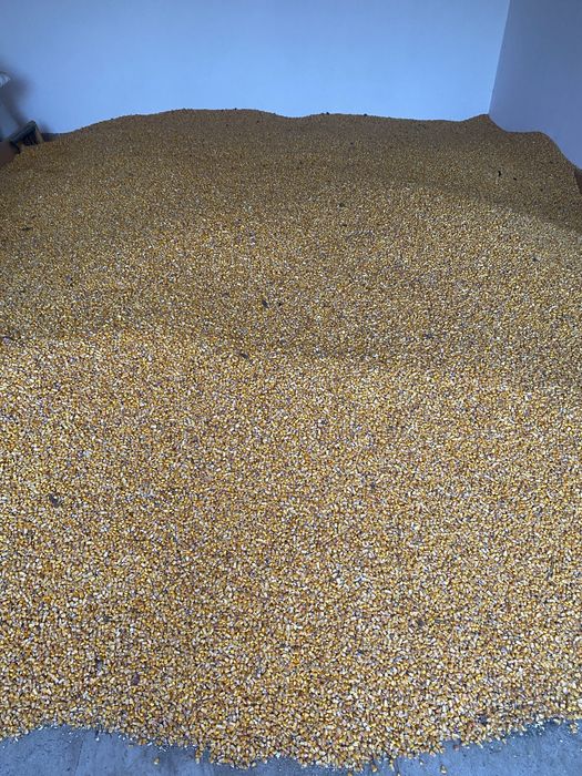 Vand graunte 1 leu kg