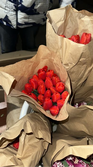 Распродажа тюльпанов 500 тенге