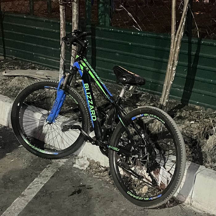 Велопсипед Blizzard