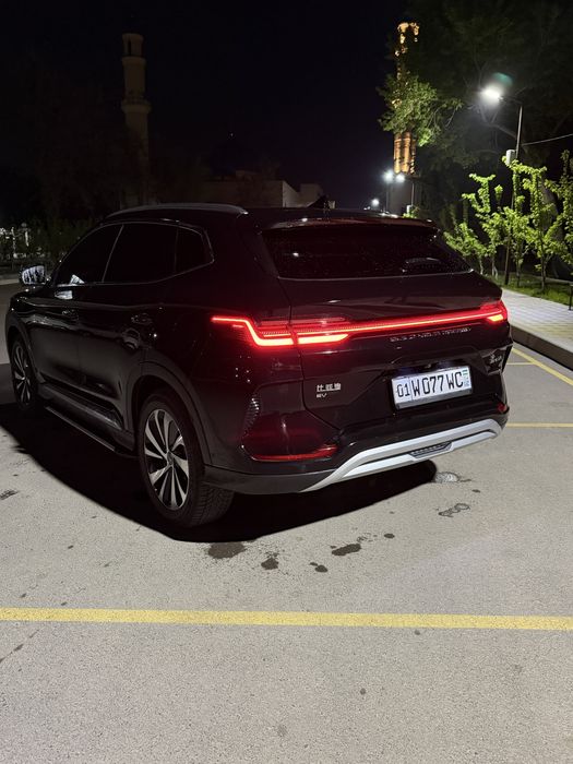 BYD Chempion 2024 Full