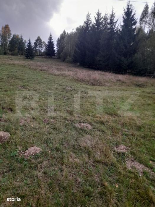 Teren intravilan de vanzare, 2280 mp, Vatra Dornei