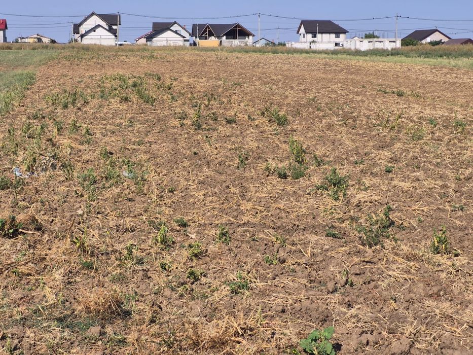 Teren intravilan 5.000 mp în Caracal – acces din două străzi – utilități