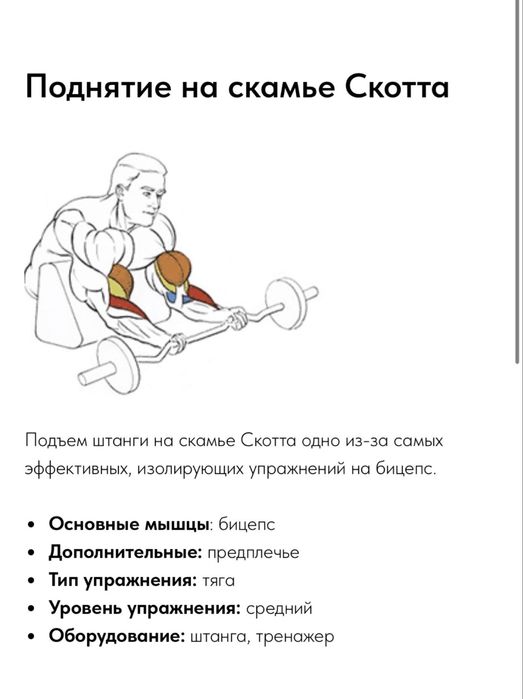 Скамья Скотта для тренировки бицепса