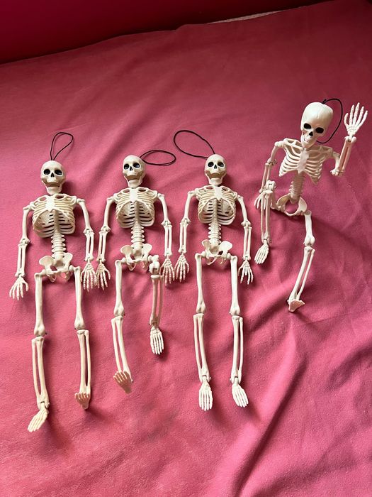 Продам новых скелетов