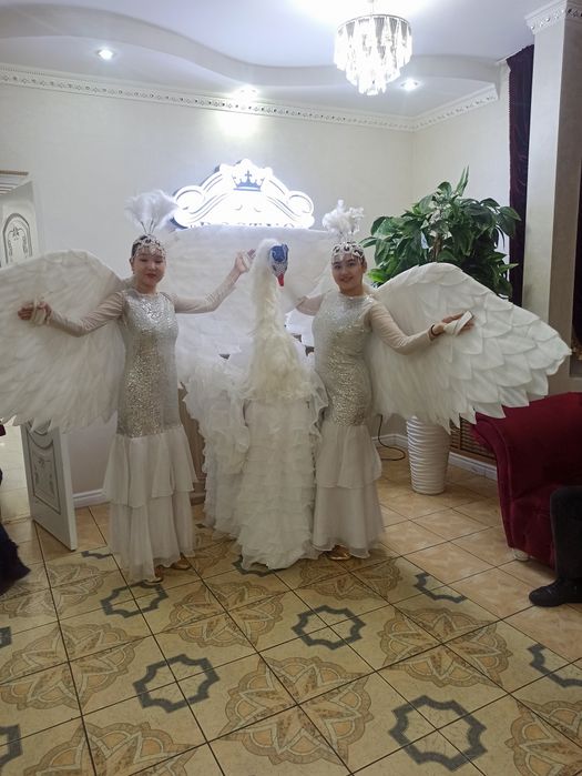 Туйе Акку выход тойбастар