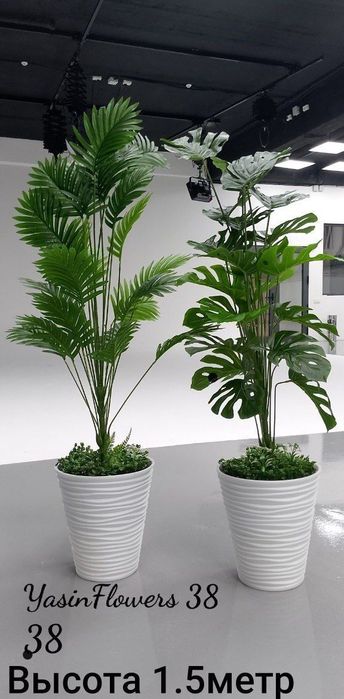 Искусственные цветы, растения, деревья. Суний гуллар.