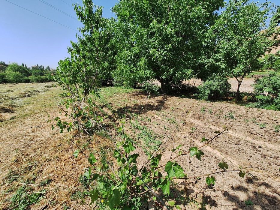 Oqtoshda 6sotix yer maydoni sotiladi.Gorbatiy mostdan 1.5km