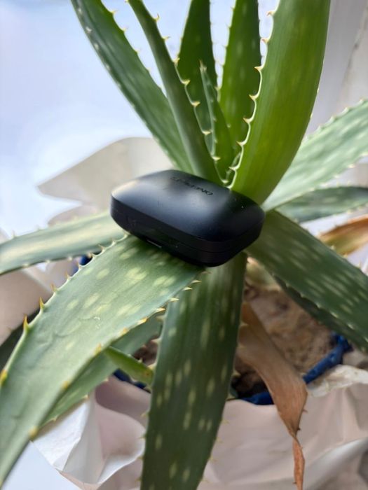 Наушники OnePlus pro