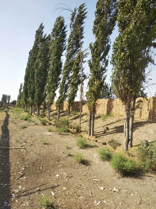 Хусусий ферма сотилади