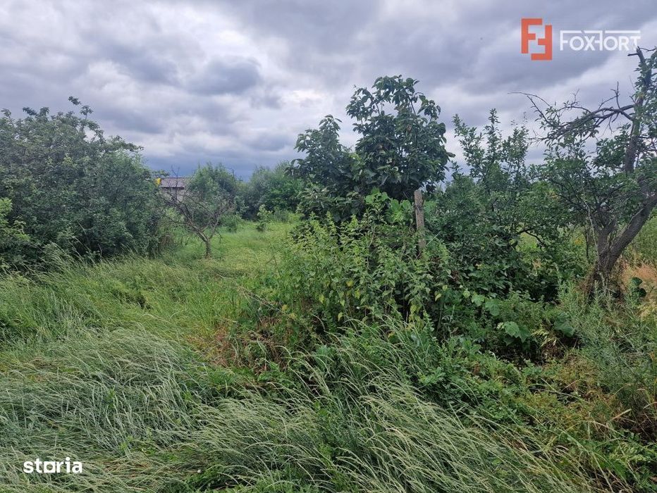 Teren intravilan de 1438 mp de vanzare, in Recas