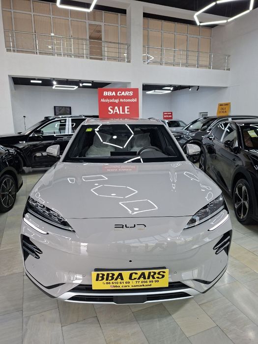 Byd. Chempion Smart ev2025