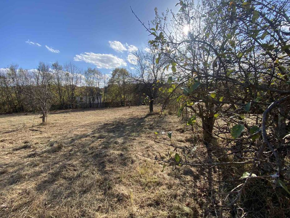 Продава се Парцел в с. Балванците, Област Габрово - 5000 кв.м за 10 €/кв.м - Снимка #5