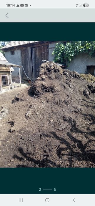 Vind  bălegar de vaca putred