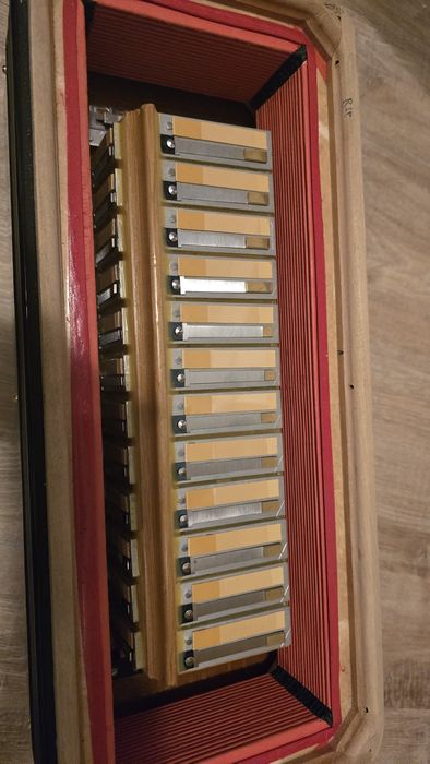 Acordeon Bicanto Piatanesi 2+2 Cassotto A Mano Nou