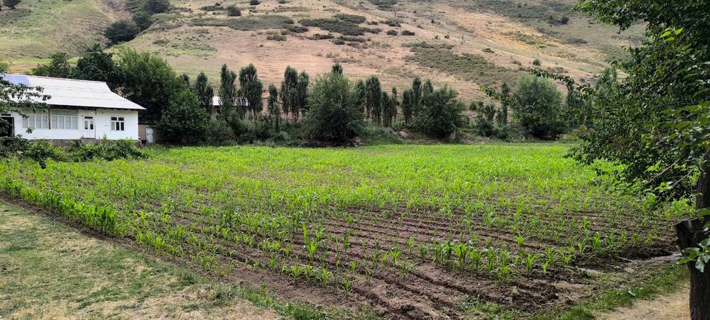 Сотилади. Экин экиш, чорвачилик ва дам олиш учун қулай ер