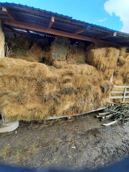 Vând baloți de fân