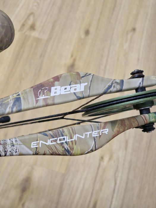 Arc Compound Bear Encounter