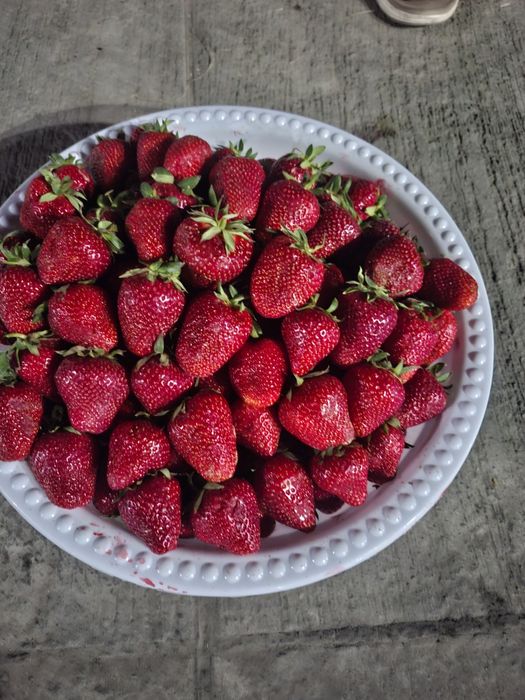 Дамас 2020 састаянаси зор