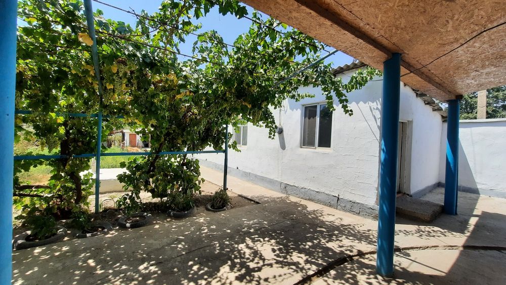 Шардара қаласы, төменгі тоғай да уй сатылады