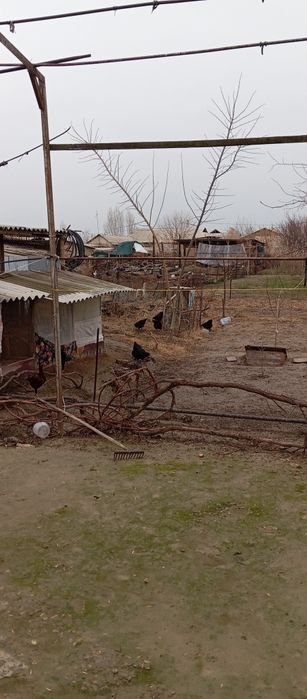 Ховли Уй сотилади