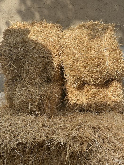 Somon press sotiladi  25.000. Sumdan Samarqand