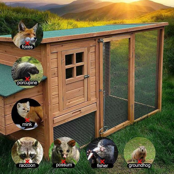 Qafas setka rulon setka qush setka