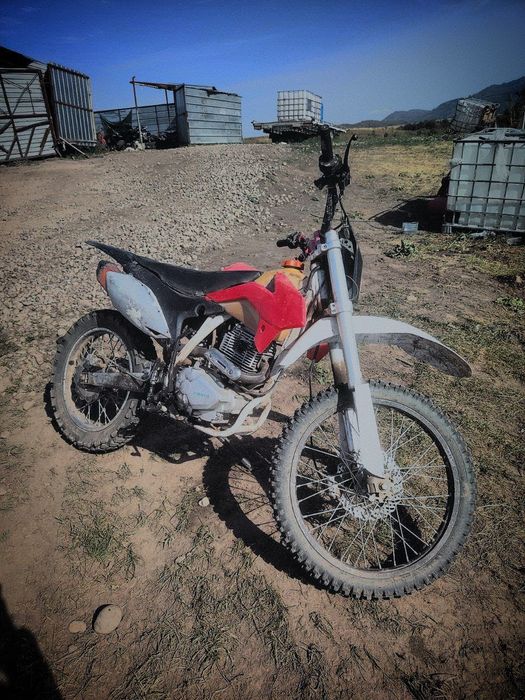 Avantis fx 250lux