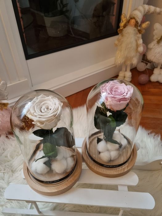 Trandafiri criogenati !