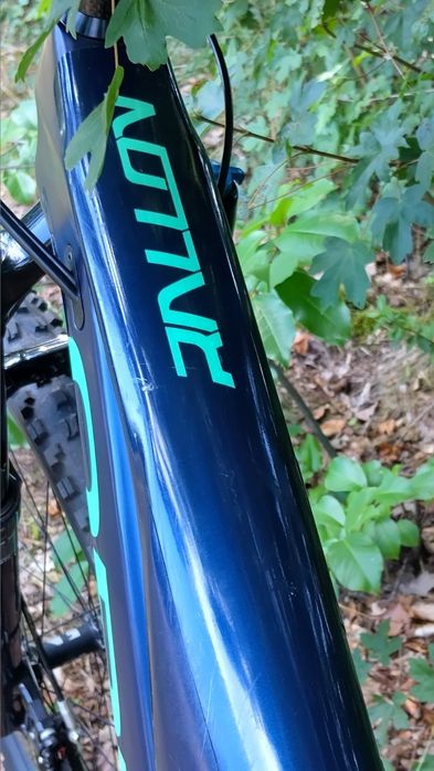 "Orbea Rallon Carbon"
