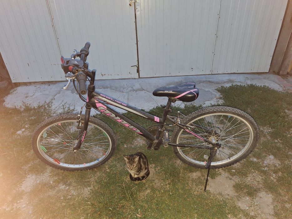 Bicicleta dama /fata