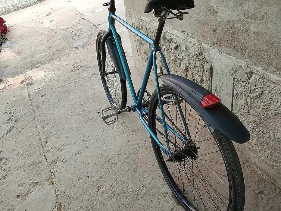 Arliyonik,  razmeri 24