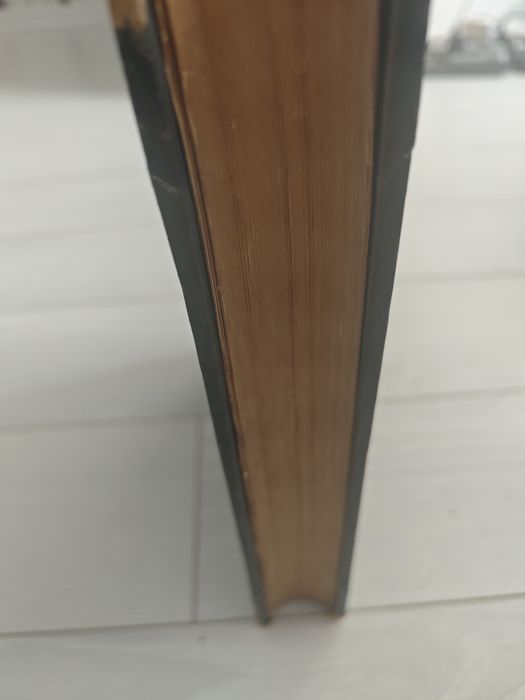 Istoria Bucurescilor/ Bucurestilor, Ionescu Gion, 1899, Raritate