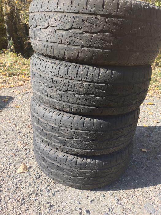 265 60 р18летние