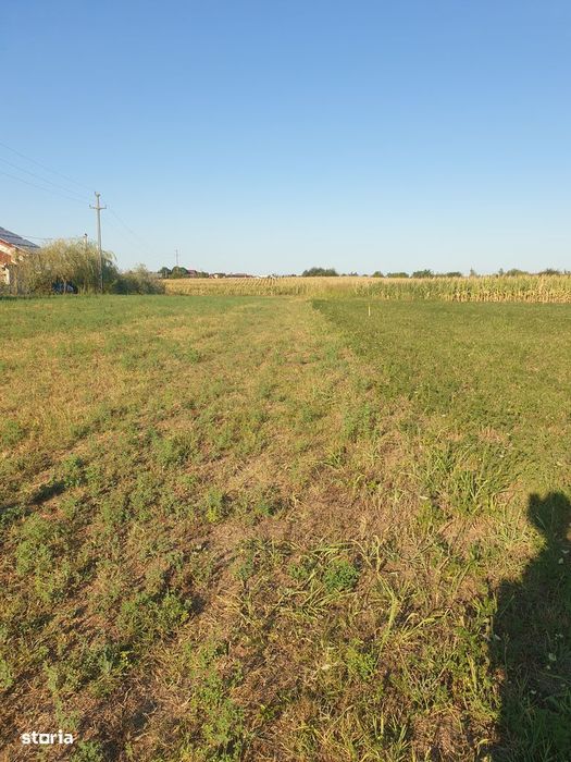 Vanzare teren suprafata de 720 mp. Zadareni - Bodrogul Nou
