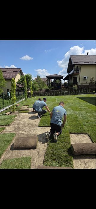 Amenajari gradini, spatii verzi, sisteme de irigat  ,  scarificare