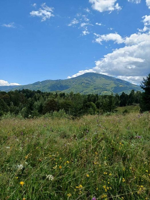 Teren extravilan Câmpu lui Neag(Fețele Topliței)-judetul Hunedoara