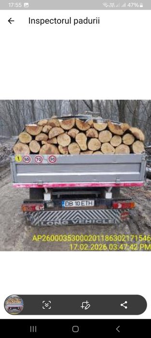 Vând lemne de foc esență tare