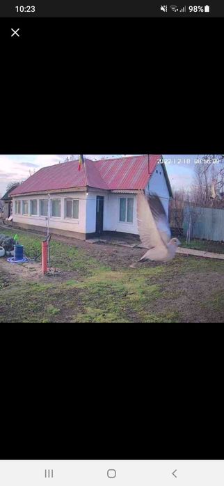 Casa cu teren în Zimnicea