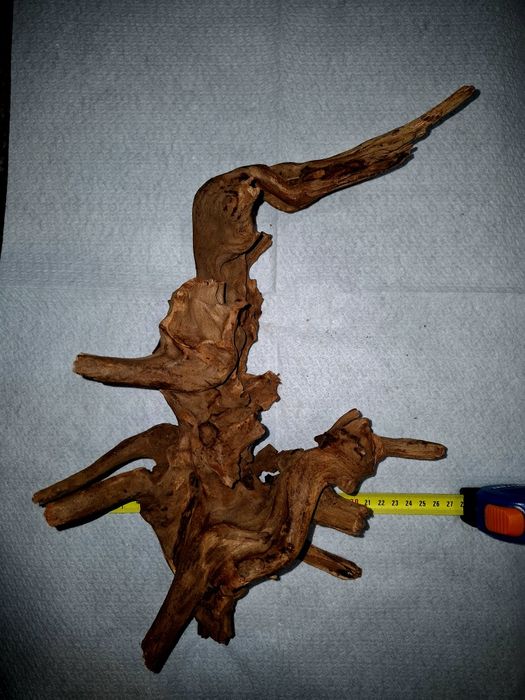 Vand buturuga pentru acvariu